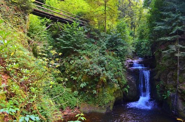 Naklejka premium Black Forest waterfall in Germany