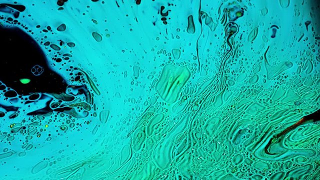 Virus cells or bacterias under microscope lens. Stock footage. Extreme close up of germs or microbes, moving microorganisms in liquid surface, medical, diseases background.