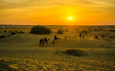 Fototapeta na wymiar Sunset view with camel at Sam sand dunes of Jaisalmer the golden city, an ideal allure for travel enthusiasts 
