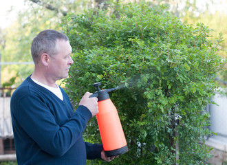 Portrait of middle aged european mustache man with sprayer pump sprays the plants on backyard...