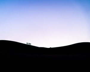 Sahara desert shadows