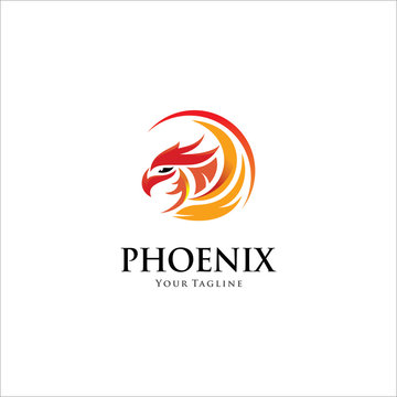 luxury phoenix logo vector template