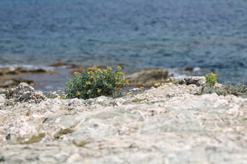 By the sea