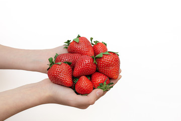 pile of strawberry in hands isolated on white background