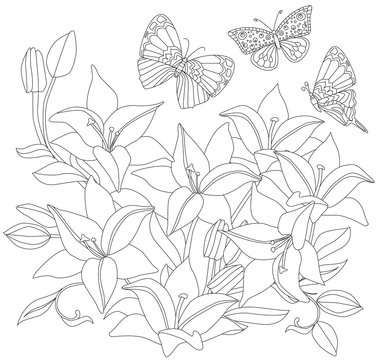 outlined picture of blooming garden with lilies and butterflies