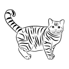 Fototapeta na wymiar Cute Cat Line art vector design, black and white