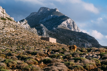 mountain landscape with blue sky