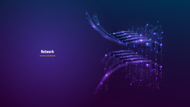 Abstract Image Of Ethernet Cables Connected In Network Switches. Vector Low Poly Wireframe Looks Like Constellation. Internet Connection, Global Network Information Technology Concept In Dark Blue