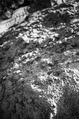 Sea sand background. Top view. Flat lay