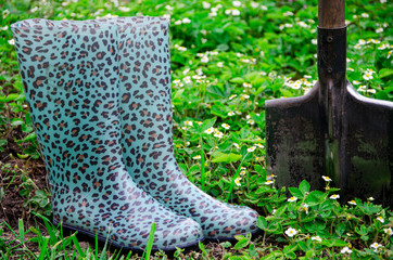 Shoes and tools for working in the garden stand on a bed with a strawberries