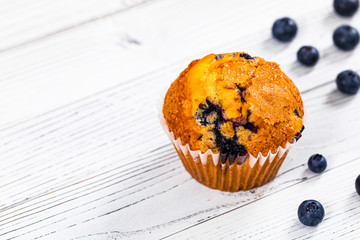 Blueberry Muffins with Fresh Blueberries on White Wooden Background. Selective focus.