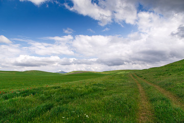 Obraz premium Beautiful spring and summer landscape. Mountain country road among green hills. Lush green hills, high mountains. Spring flowering grass.