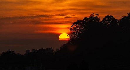 Fototapeta premium The Sunset