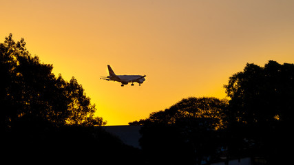 Airplane in a Sunset