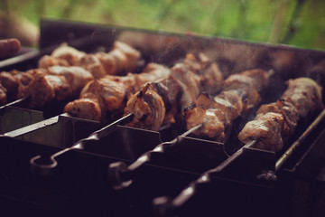 shish kebab on the barbecue