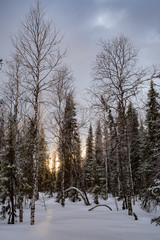 Winter ski trip in the mountains of the circumpolar Urals