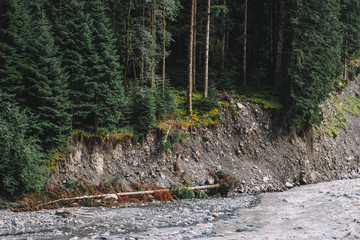 Flooded river in the forest
