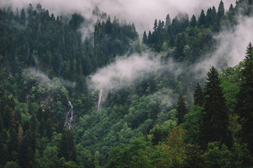 Waterfalls in the foggy mountain forest