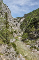 Waterfalls and Cascades in Oetscher National Park, Springtime
