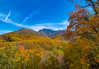 Laurel Falls Trail in Great Smoky Mountain National Park