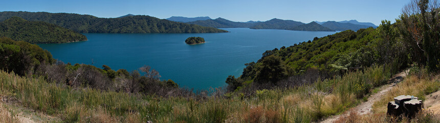 Fototapeta na wymiar Landscape in Queen Charlotte Sound near Picton,Marlborough Region on South Island of New Zealand 