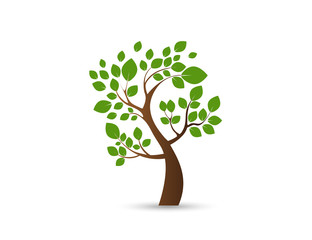 Vector tree emblem. Icon, logo tree.