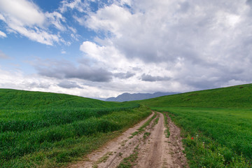 Fototapeta na wymiar Beautiful spring and summer landscape. Mountain country road among green hills. Lush green hills, high mountains. Spring flowering grass.