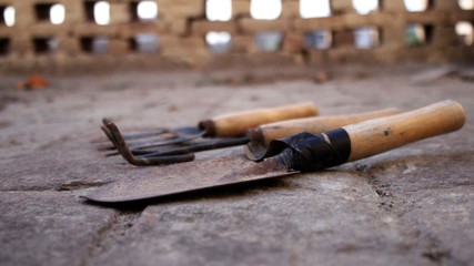 Gardening tools on the floor