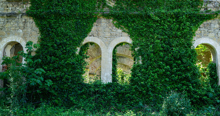 The remains of old building, overgrown with ivy, shrubs and trees. Georgia country. Kutaisi city