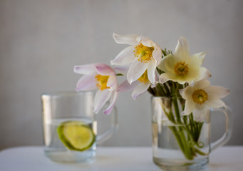 Delicate white spring flowers in a glass bowl