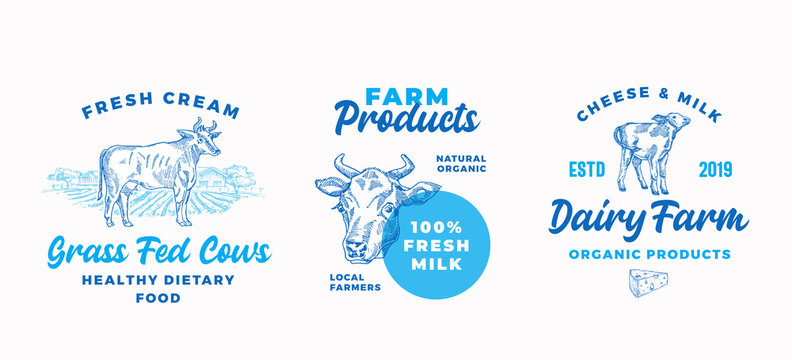 Cow Farm Dairy Logo Templates Set. Abstract Vector Cream and Milk Signs or Symbols. Hand Drawn Domestic Animals, Countryside Landscape and Cheese with Typography Banners or Stickers Bundle.