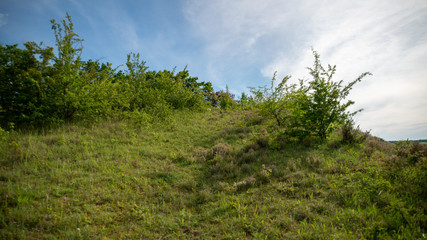 
Extent of plants, thyme, wild shrubs ...