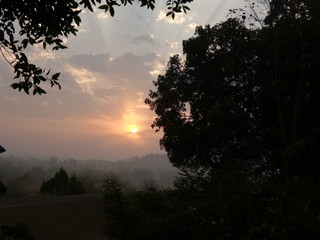 Naklejka premium sunset in the forest