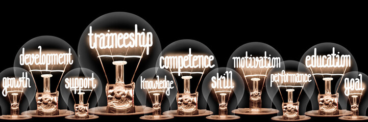 Light Bulbs with Traineeship Concept