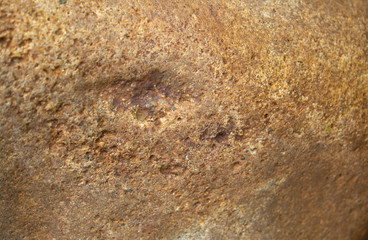 the surface of a yellow stone with a brown tint