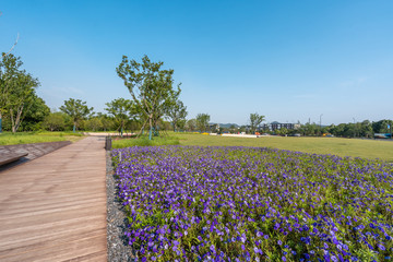 road in park