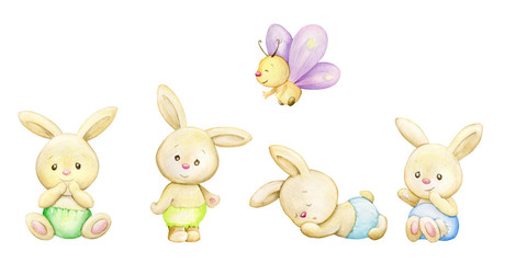 Rabbits, a butterfly. Watercolor animal in cartoon style, on an isolated background.