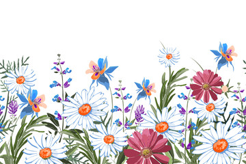 Vector floral seamless border. Summer flowers, green leaves. Chamomile, aquilegia, columbine, sage, rosemary, lavender, marigold, oxeye daisy. White, blue, pink, purple garden flowers on white.