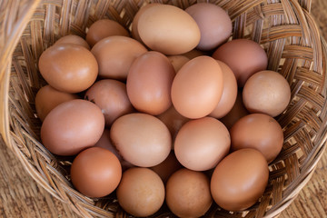 New chicken eggs collected from hens