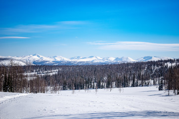 Fototapeta na wymiar winter ski trip in the mountains of the circumpolar Urals. Ural winter mountains