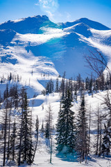 winter ski trip in the mountains of the circumpolar Urals. Ural winter mountains