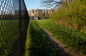 Path along a fence and shrubs that leads to U of M Hospital