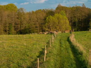 Fototapeta na wymiar Path between meadows. Spring time, Suwalski landscape park, Podlaskie, Poland