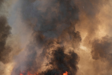 Red raging flame of fire burn in grass fields, forests and black and white smoke to sky. Big wildfire close-up. pollution in air concept. wildfire make to smoke bush pollution in world.