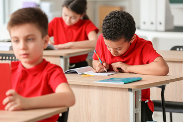 Cute little pupils during lesson in classroom