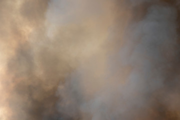 Red raging flame of fire burn in grass fields, forests and black and white smoke to sky. Big wildfire close-up. pollution in air concept. wildfire make to smoke bush pollution in world.