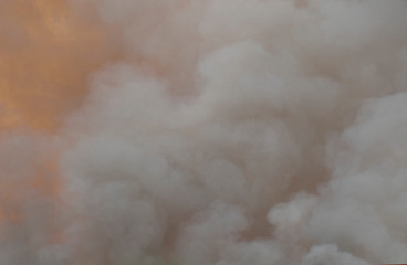 Naklejka premium smoke pattern background of fire burn in grass fields