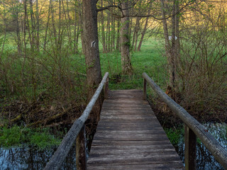 Bridge over Black Hancza river, Suwalski landscape park, Podlaskie, Poland