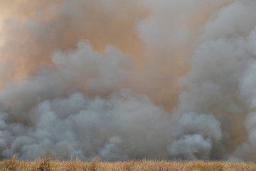 smoke pattern background of fire burn in grass fields