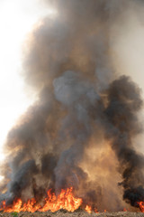 smoke pattern background of fire burn in grass fields